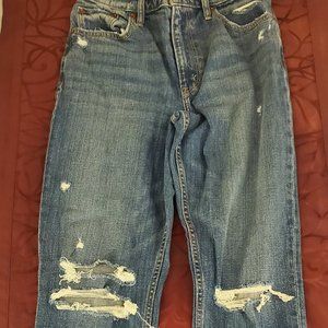 Abercrombie & Fitch Curve Love High Rise Mom Jean